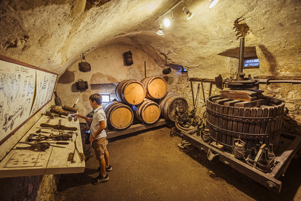 Vue intérieure dans une cave voutée avec visiteurs, pressoir et tonneaux