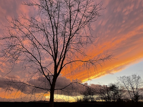 Ain ciel de feu