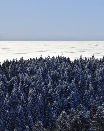 Au-dessus des nuages