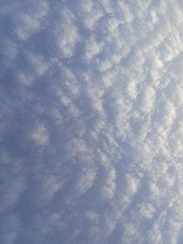 Cacher ou révéler le dilemme du nuage