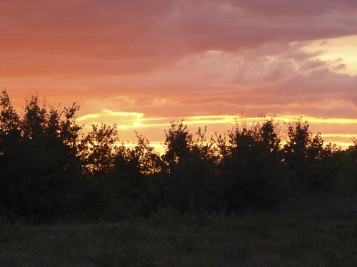 En Soirée, Les Nuages, Sous La Poussée Du Vent