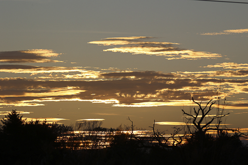 La savane de la Dombes