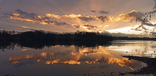 Le miroir aux canards