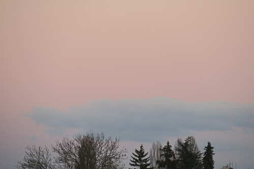 Les nuages à la rencontre des arbres au coucher du soleil