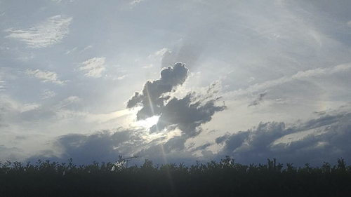 Ma sorcière nuage