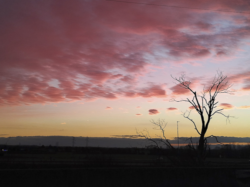 Nuage Barbapapa