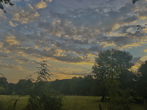 Paysage de campagne en été