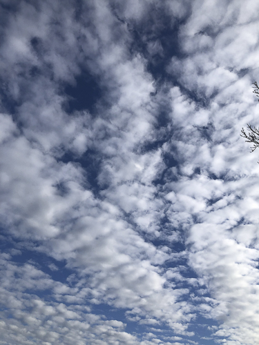 Perdu dans les nuages