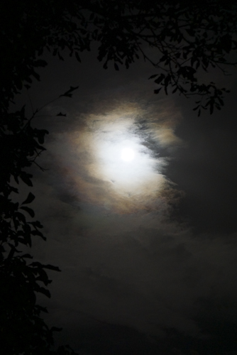 Pleine lune nébuleuse